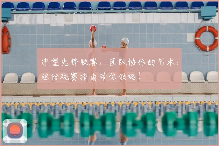 守望先锋联赛,团队协作的艺术,这份观赛指南带你领略!