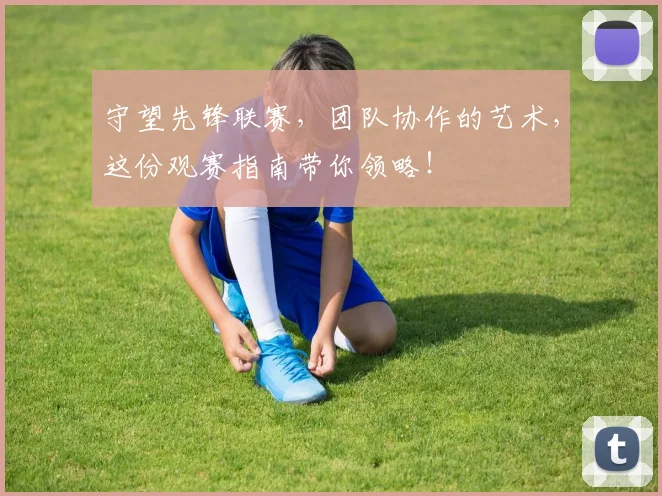 守望先锋联赛，团队协作的艺术，这份观赛指南带你领略！